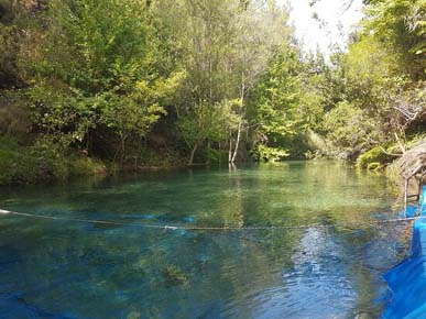 yuvarlakçay kahvaltı